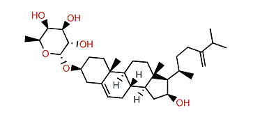 24-Methylenecholest-5-en-3b,16b-diol 3-O-a-L-fucopyranoside